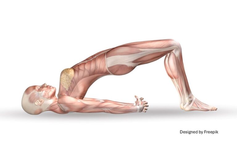 Geschmeidig wie eine Katze oder wer sich nicht bewegt, verklebt