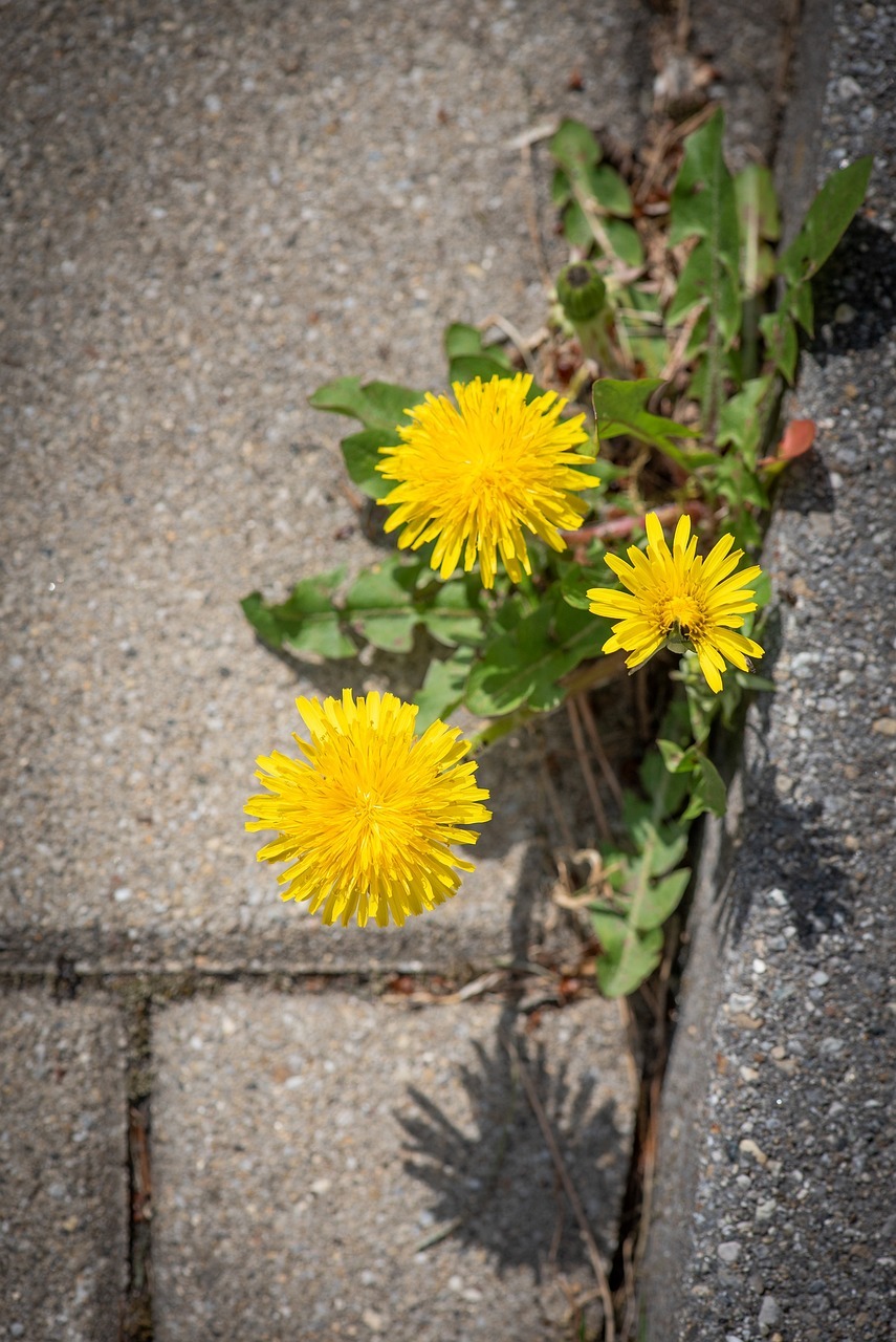 Resilienztraining - Präventionskurs (Wochenende)